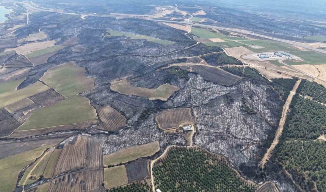 Tekirdağ’ın Şarköy ilçesinde başlayıp, rüzgarında etkisiyle Çanakkale’nin Gelibolu ilçesine ulaşan