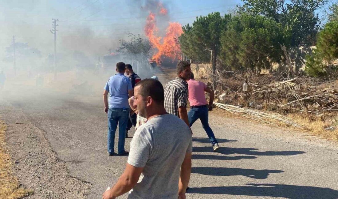 Çanakkale’nin Ayvacık ilçesinde orman yangını çıkan alana yakın noktada bulunan
