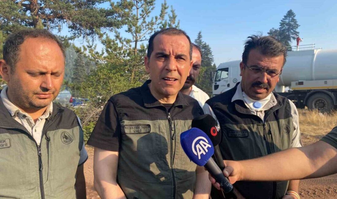 Çankırı Valisi Mustafa Fırat Taşolar, Yapraklı ilçesindeki orman yangınına ilişkin