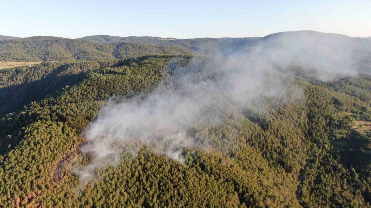 Çankırı’nın Ilgaz ilçesi ile Kastamonu’nun Tosya ilçesi sınırındaki ormanlık alanda