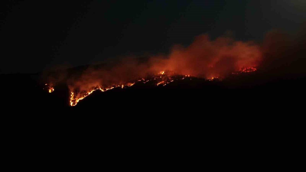 Çankırı’nın Ilgaz ilçesinde ormanlık alanda çıkan yangın, dron ile görüntülendi.