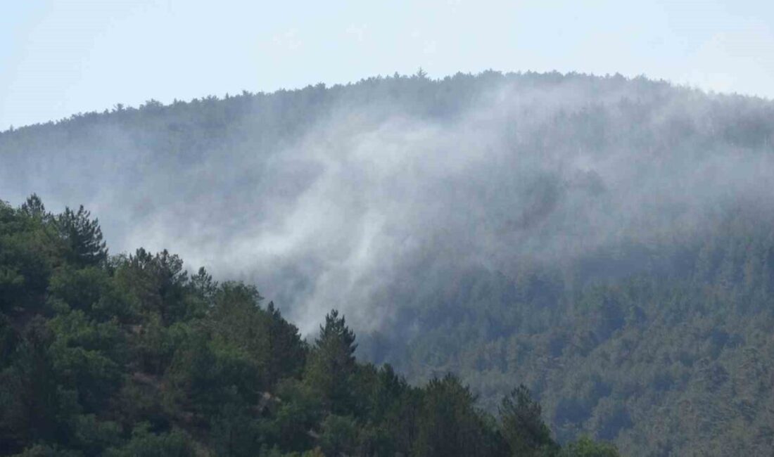 Çankırı’nın Ilgaz ilçesinde dün gece saatlerinde çıkan orman yangını kontrol