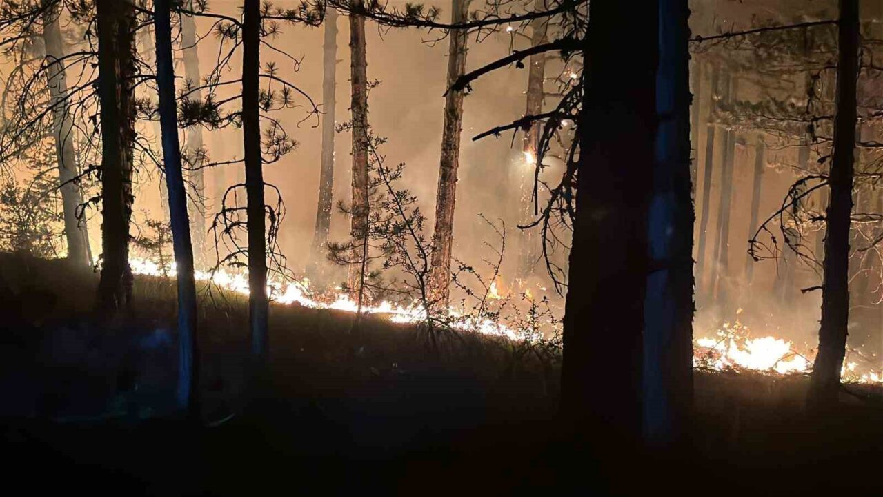 Çankırı’nın Ilgaz ilçesinde ormanlık alanda çıkan yangında Çankırı Valisi Mustafa
