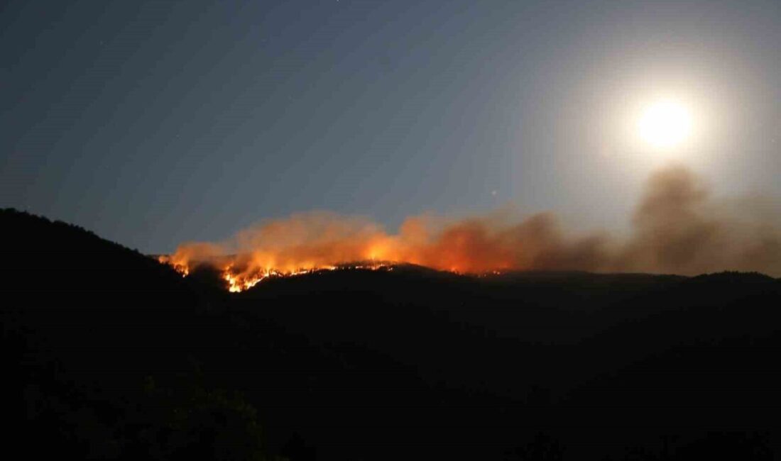 Çankırı’nın Ilgaz ilçesinde çıkan orman yangınında 40 hektar alanın zarar