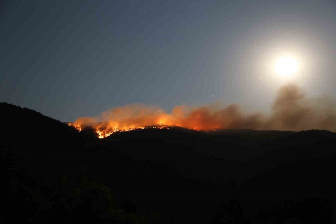 Çankırı’nın Ilgaz ilçesinde çıkan orman yangınında 40 hektar alanın zarar