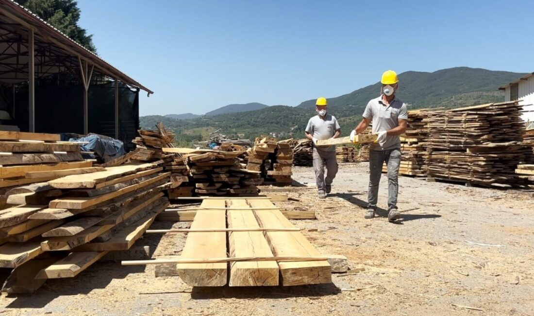 Çaycuma’da ÇAYBEL, sokak hayvanları için seri üretime geçti. Daha önce
