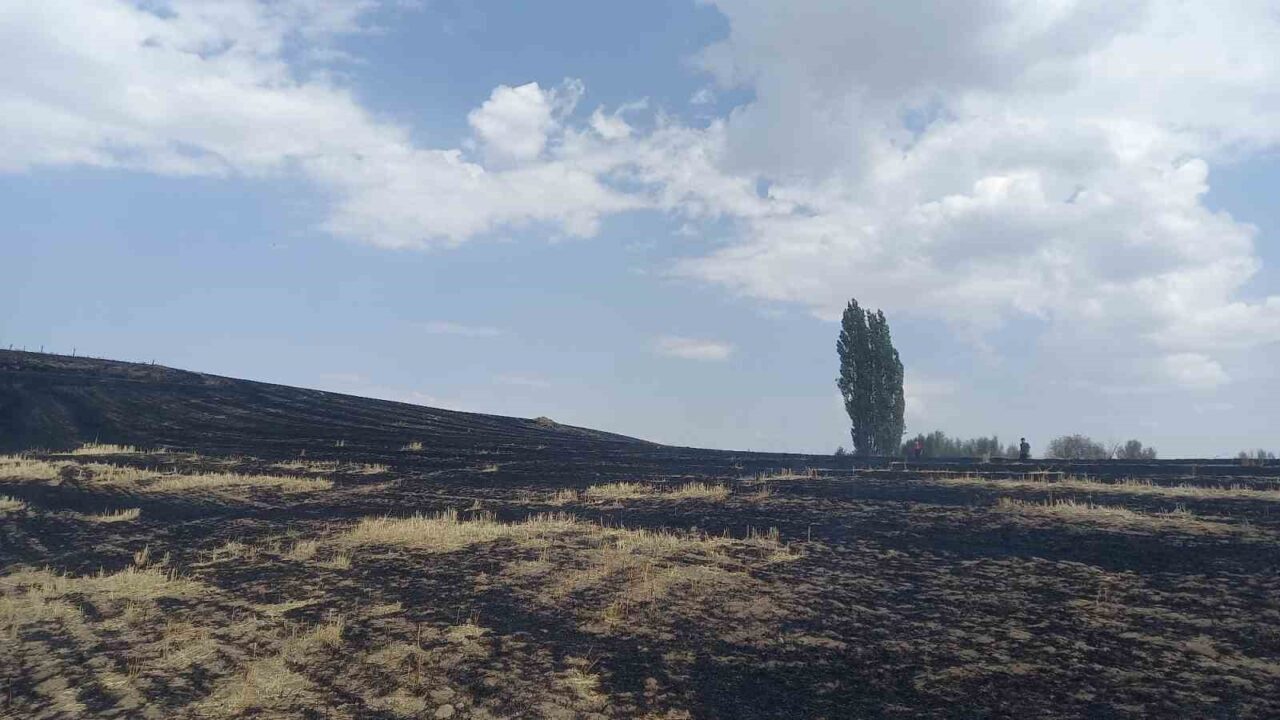 Yozgat’ta arızalanan trafo nedeniyle çıkan anız yangınında yaklaşık 400 dönüm