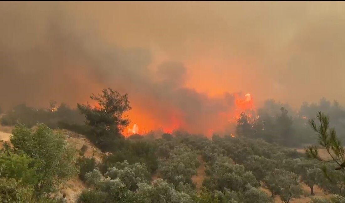 -Bilecik’in Osmaneli ilçesinde çıkan orman yangını, şiddetli rüzgarın etkisiyle hızla