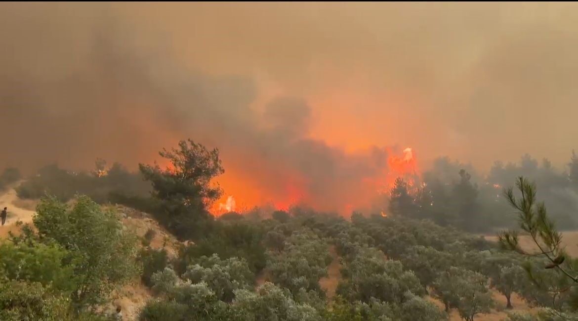 -Bilecik’in Osmaneli ilçesinde çıkan orman yangını, şiddetli rüzgarın etkisiyle hızla