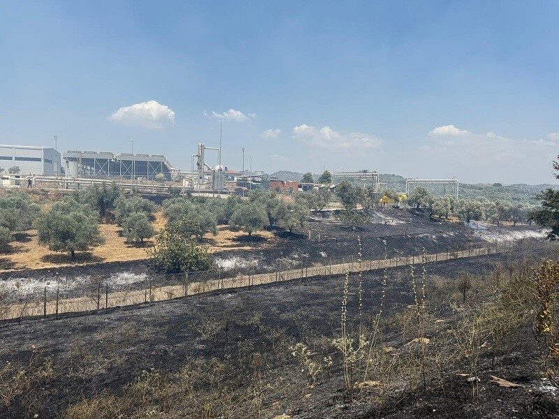 Aydın-İzmir otoyolu Germencik gişeleri yakınında yol kenarında çıkan yangın Orman