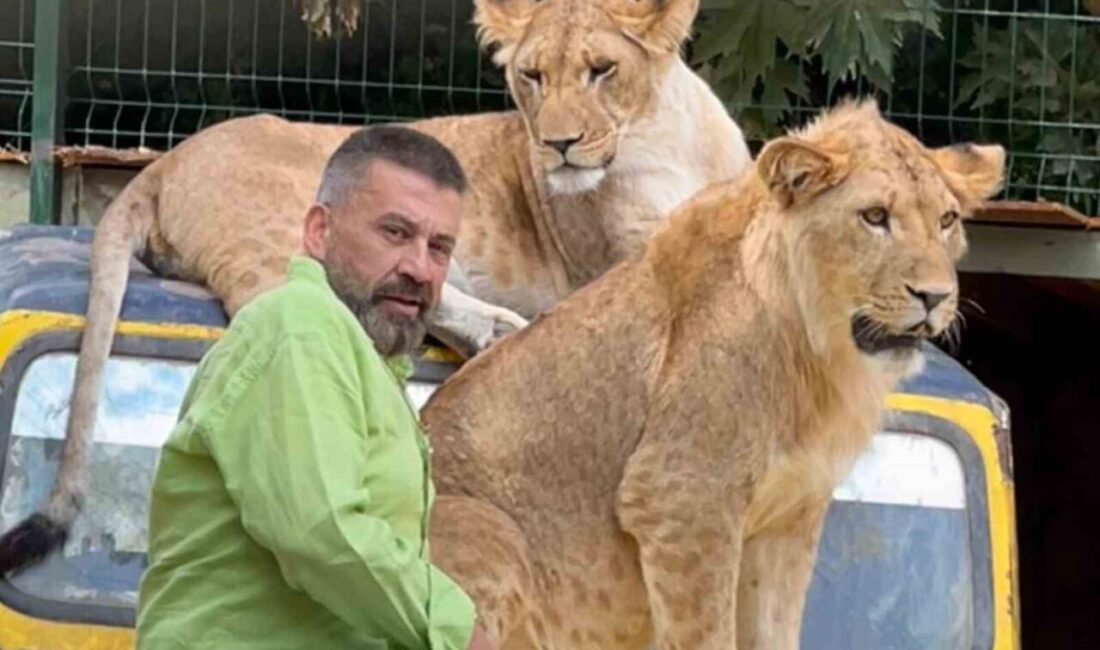 Antalya’da hayvan parkında kafesinden kaçarak saldırdığı çiftçinin yaralanmasına neden olan