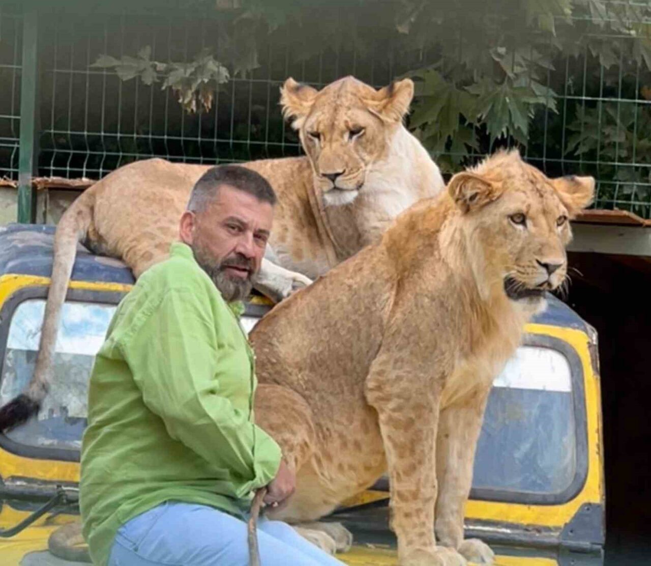 Antalya’da hayvan parkında kafesinden kaçarak saldırdığı çiftçinin yaralanmasına neden olan