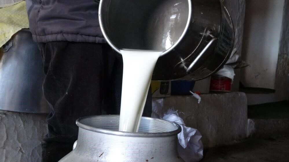 Ulusal Süt Konseyi (USK), 1 Ağustos 2025’ten itibaren geçerli olmak