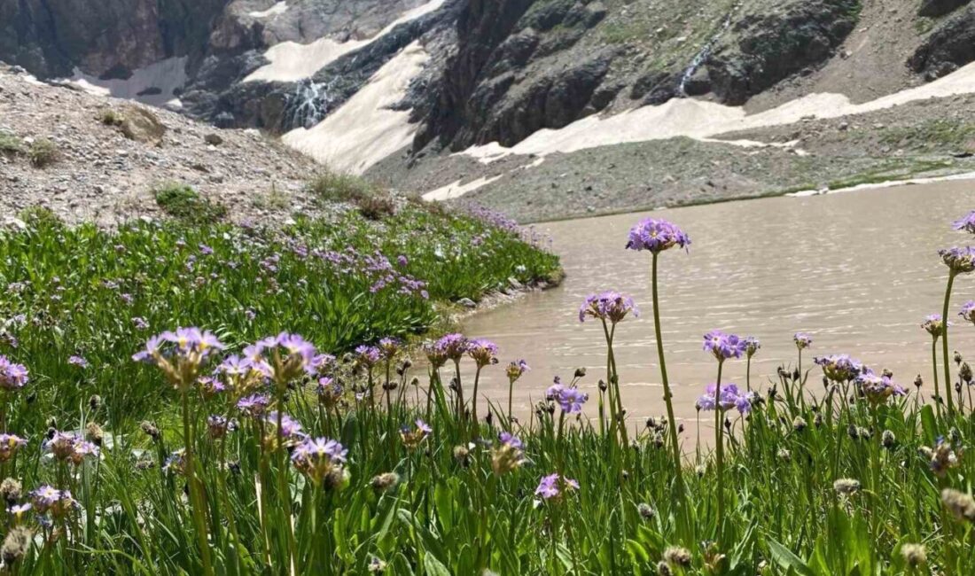Türkiye’nin en yüksek zirvelerinden biri olan Hakkâri’deki Cilo Dağı’ndaki buzullar,