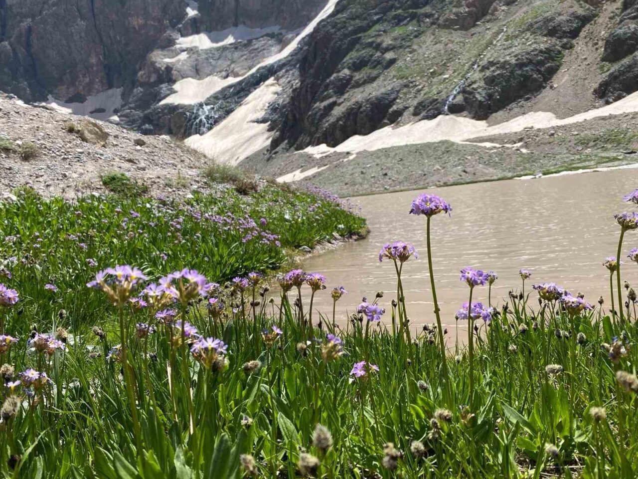 Türkiye’nin en yüksek zirvelerinden biri olan Hakkâri’deki Cilo Dağı’ndaki buzullar,