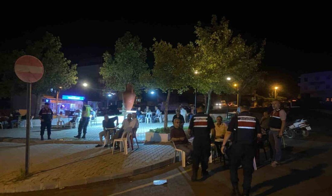 Aydın’ın Çine ilçesinde gerçekleştirilen ‘şok’ denetimlerinde 126 şahıs sorgulandı. Çine