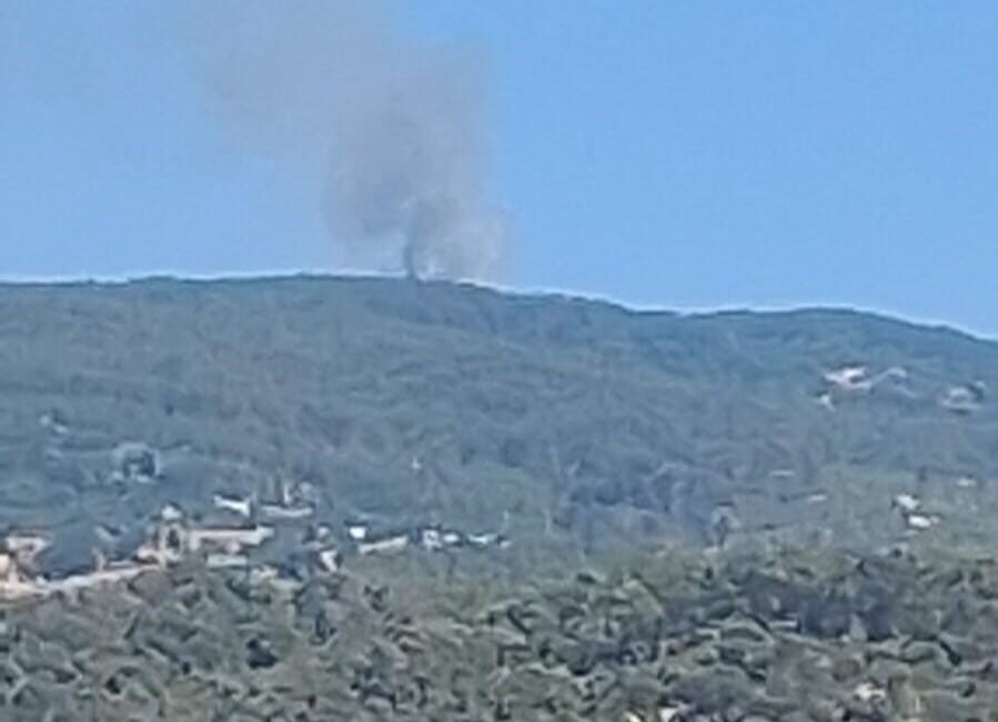 Aydın’ın Çine ilçesinde ormanlık alanda meydana gelen yangını kontrol altına