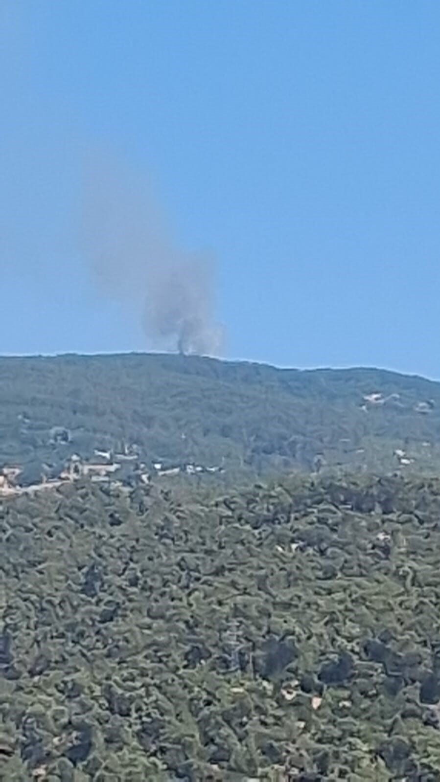 Aydın’ın Çine ilçesinde ormanlık alanda meydana gelen yangını kontrol altına