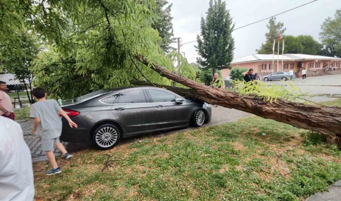 Mevsim normalleri üzerinde seyreden hava sıcaklıkları sağanak yağışla bir nebze