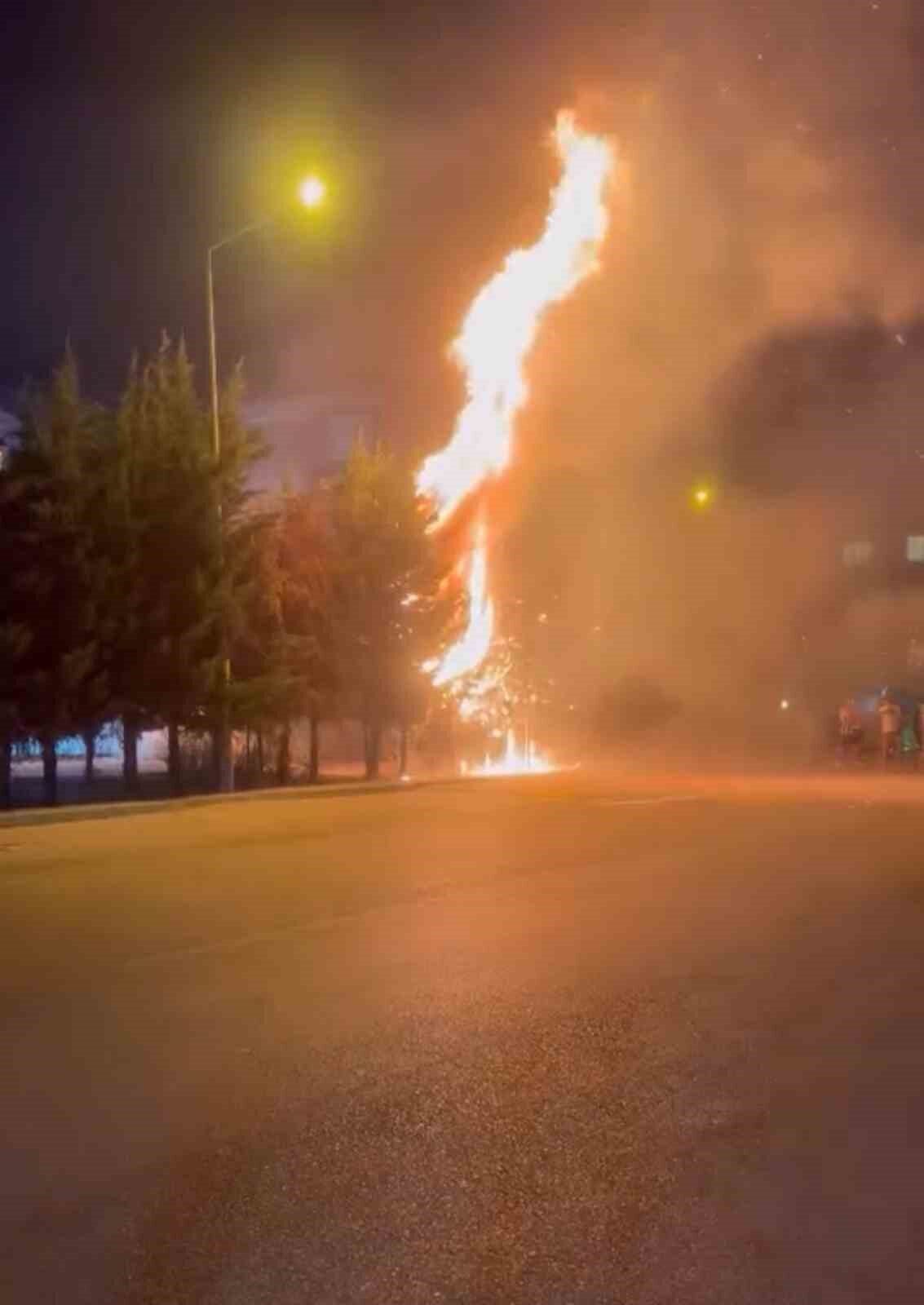 Bursa’da çocukların eğlence için attığı torpil, ağaçlık alanda yangına yol