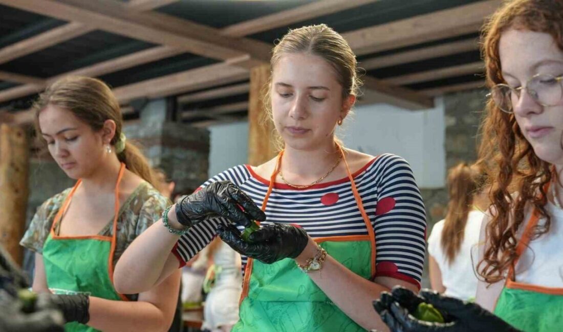 Gençler Arası Değişim Programı kapsamında Bursa’ya gelen yabancı öğrenciler, Türk