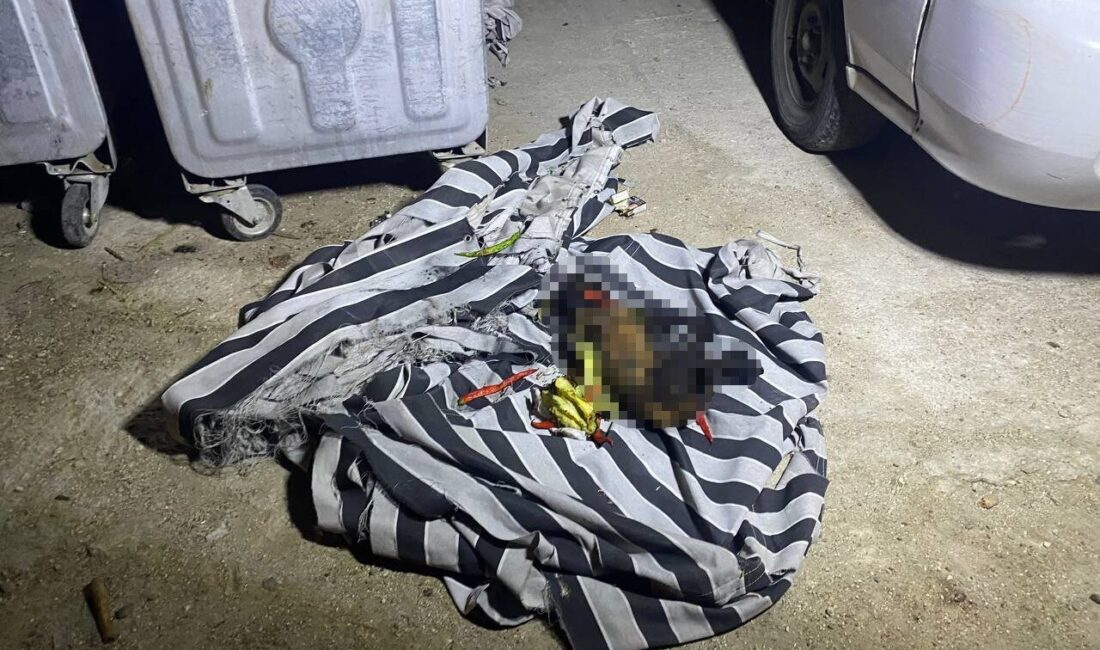 Antalya’nın Serik ilçesinde çöp konteynırında çıkan yangını vatandaşlar hortumla söndürdü.