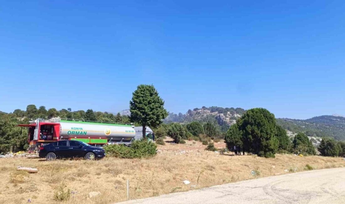 Konya’nın Beyşehir ilçesinde çöplük alanda başlayan yangın ormanlık araziye sıçradı.