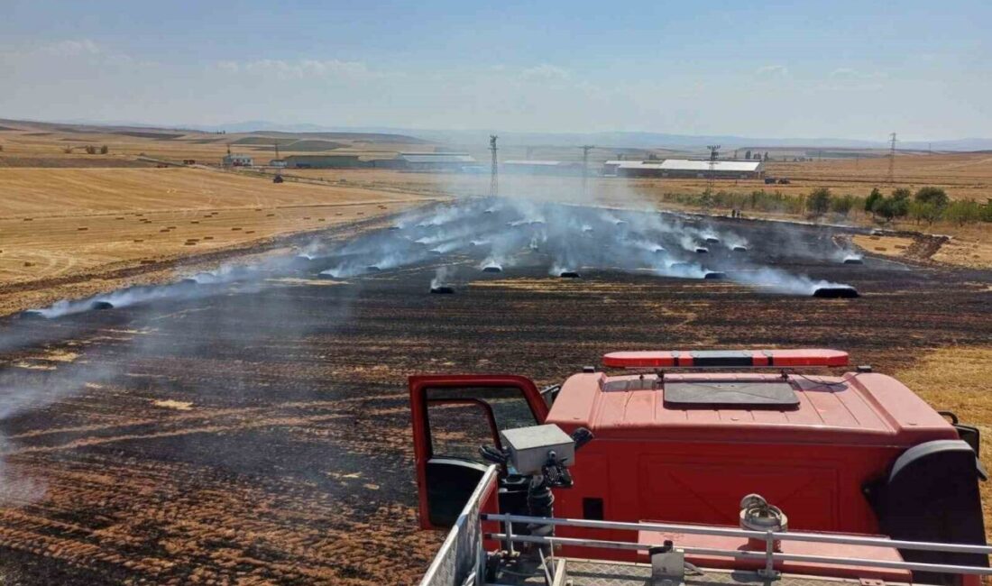 Çorum’un Alaca ilçesinde, tarlada çıkan yangın neticesinde 150 balya ile