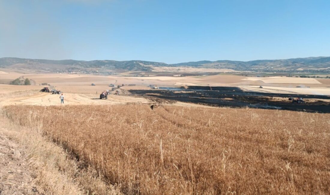 Çorum’un Boğazkale ilçesinde çıkan yangında 3 bin dekar ekili buğday