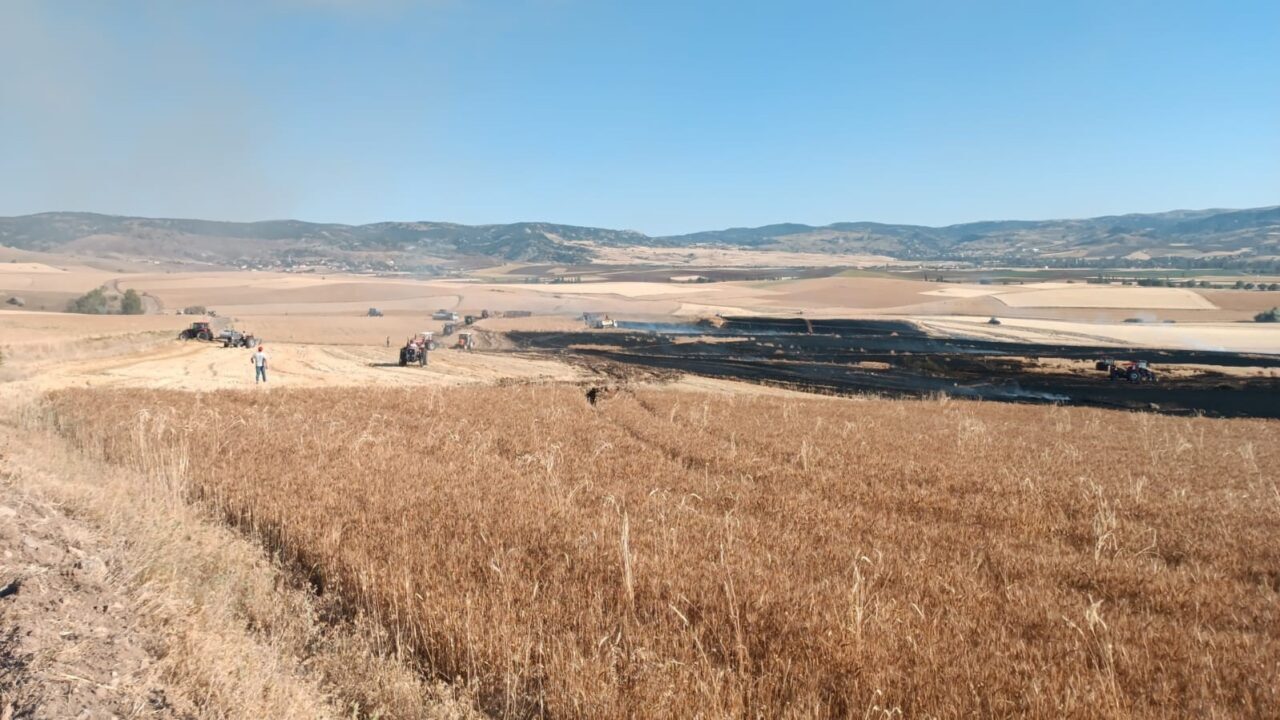 Çorum’un Boğazkale ilçesinde çıkan yangında 3 bin dekar ekili buğday