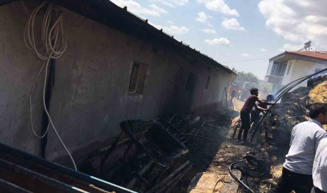 Çorum’un Sungurlu ilçesine çıkan yangında 550 balya ot, bir tarım