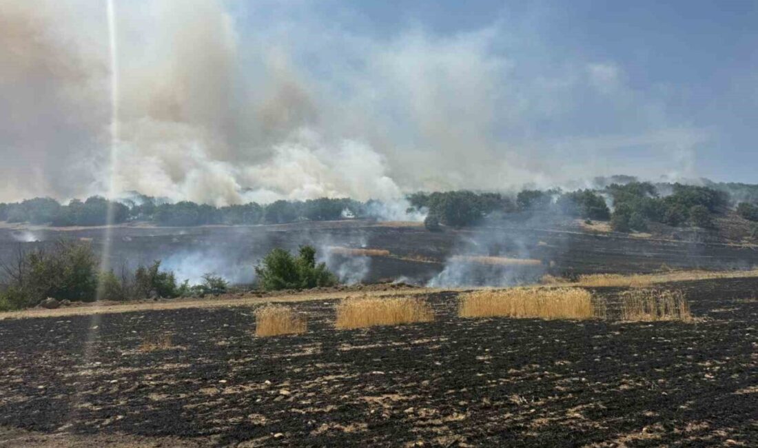 Çorum’un Sungurlu ilçesinde tarlada çıkan yangın ormanlık alana ulaşmadan itfaiye