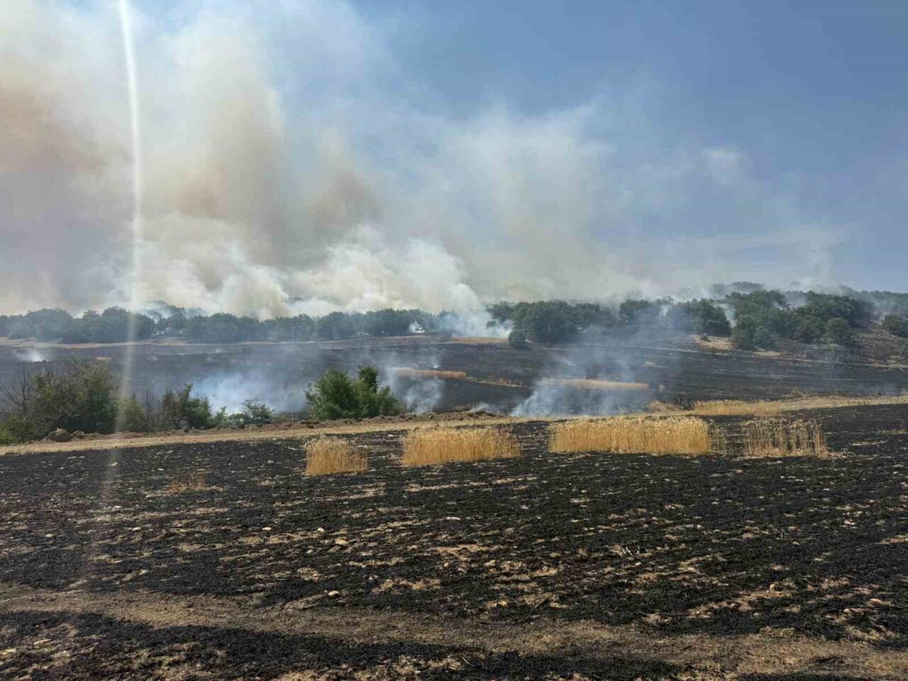 Çorum’un Sungurlu ilçesinde tarlada çıkan yangın ormanlık alana ulaşmadan itfaiye