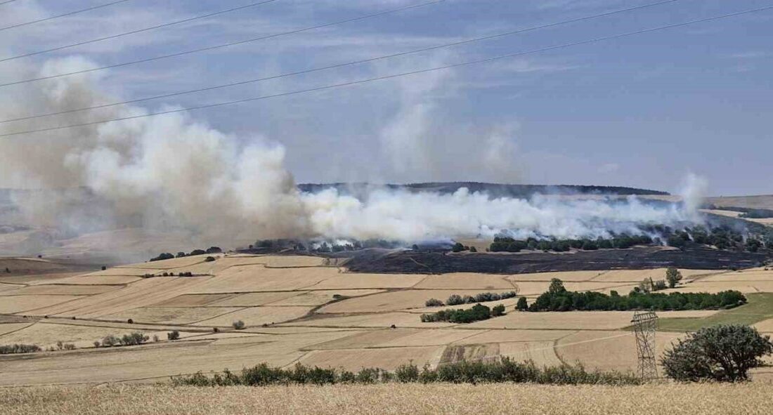 Çorum’un Sungurlu ilçesine bağlı bir köyde, tarlada çıkan yangında 200