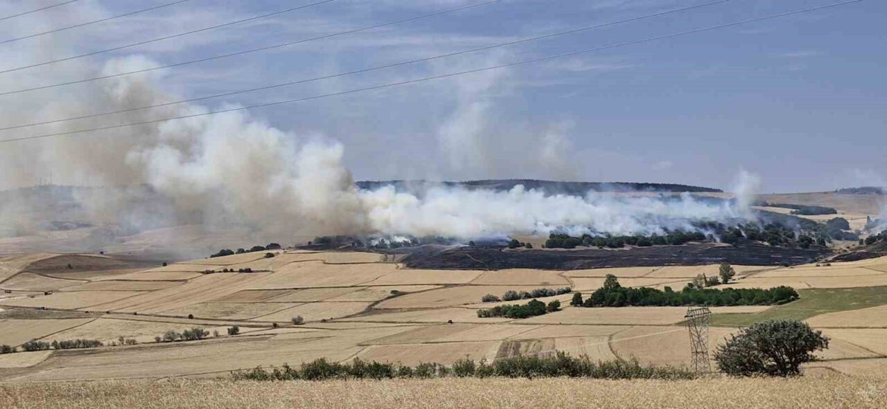 Çorum’un Sungurlu ilçesine bağlı bir köyde, tarlada çıkan yangında 200