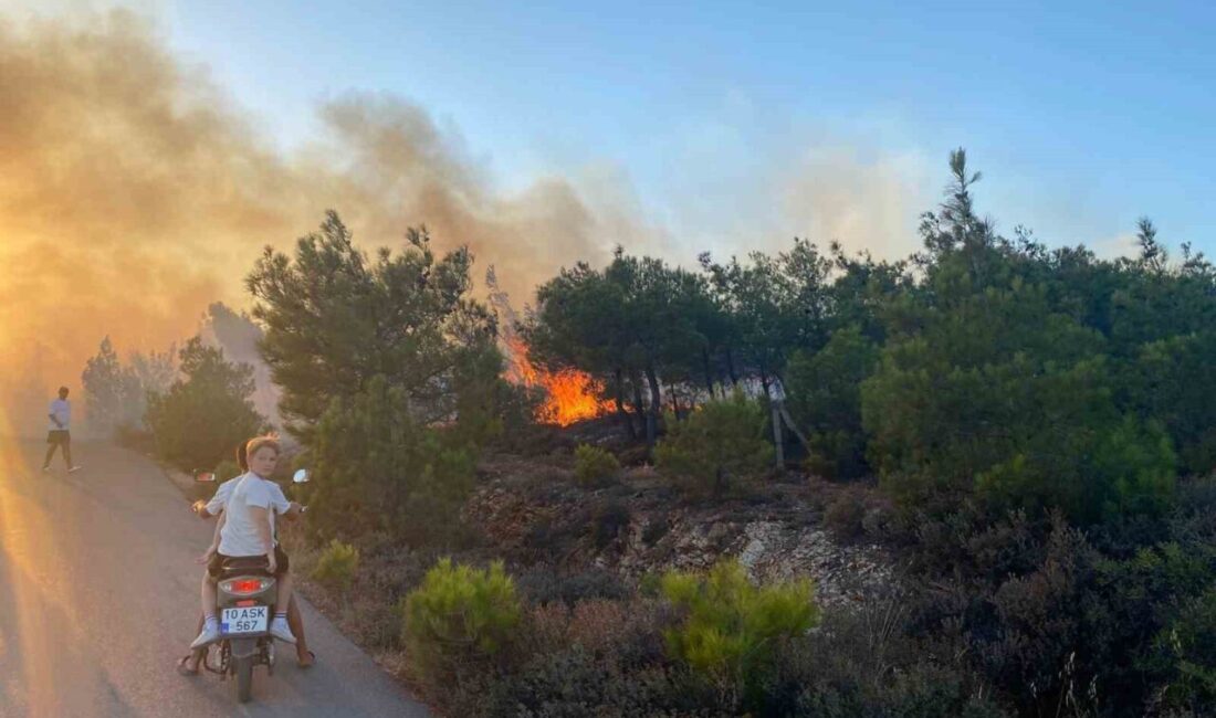 Balıkesir’in Ayvalık ilçesi Cunda (Alibey) Adası’nda çıkan orman yangını, ekiplerin