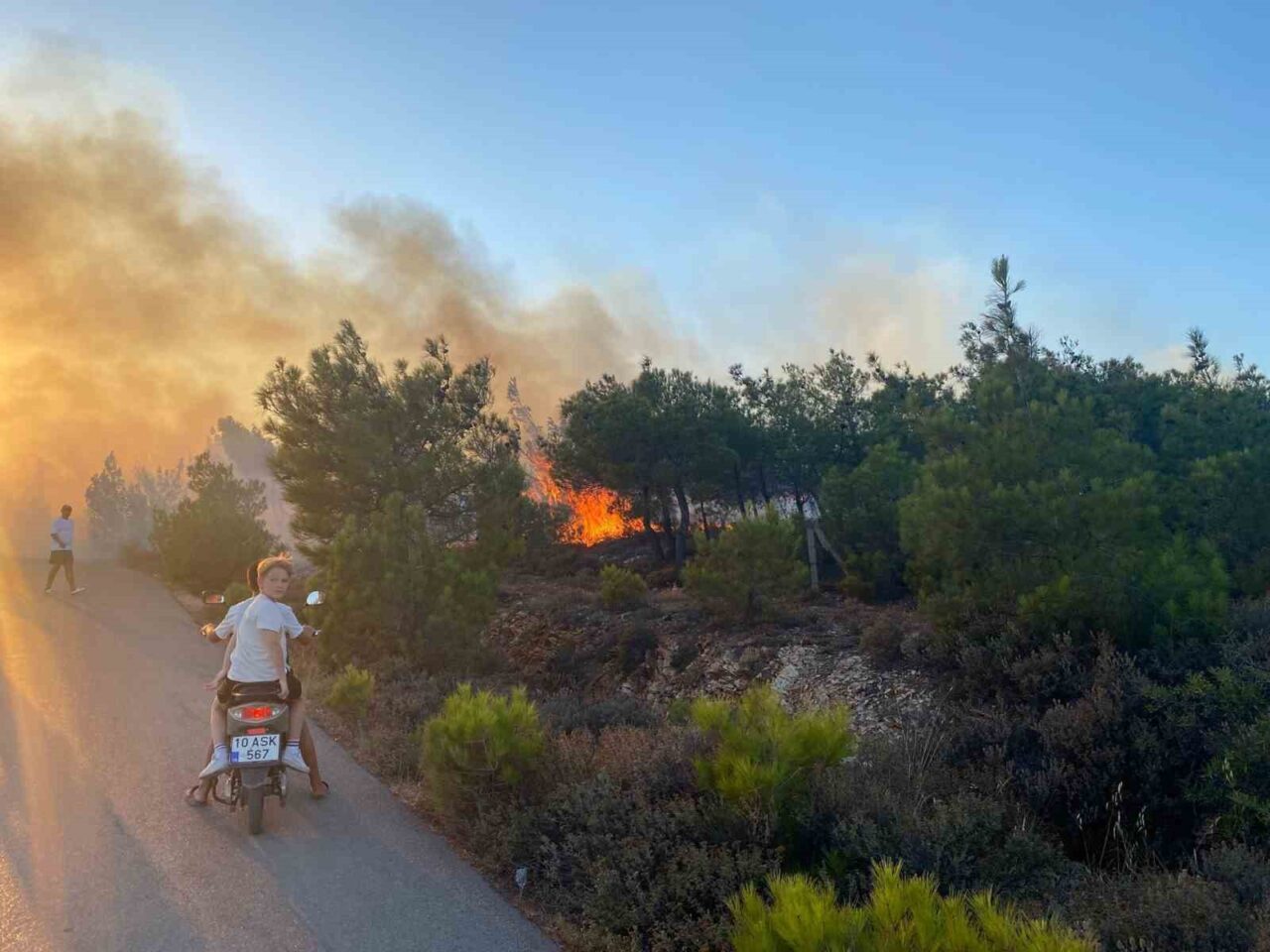 Balıkesir’in Ayvalık ilçesi Cunda (Alibey) Adası’nda çıkan orman yangını, ekiplerin