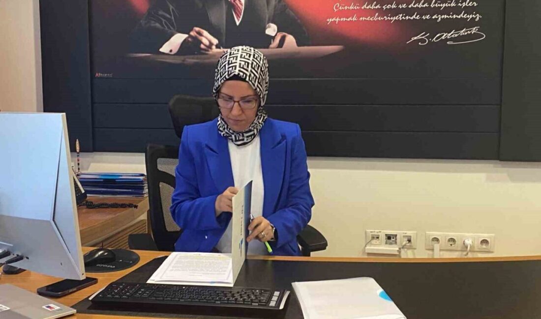 Danışman Bilgi Sistemi (DABİS), 2 Temmuz tarihinden itibaren Türkiye İş