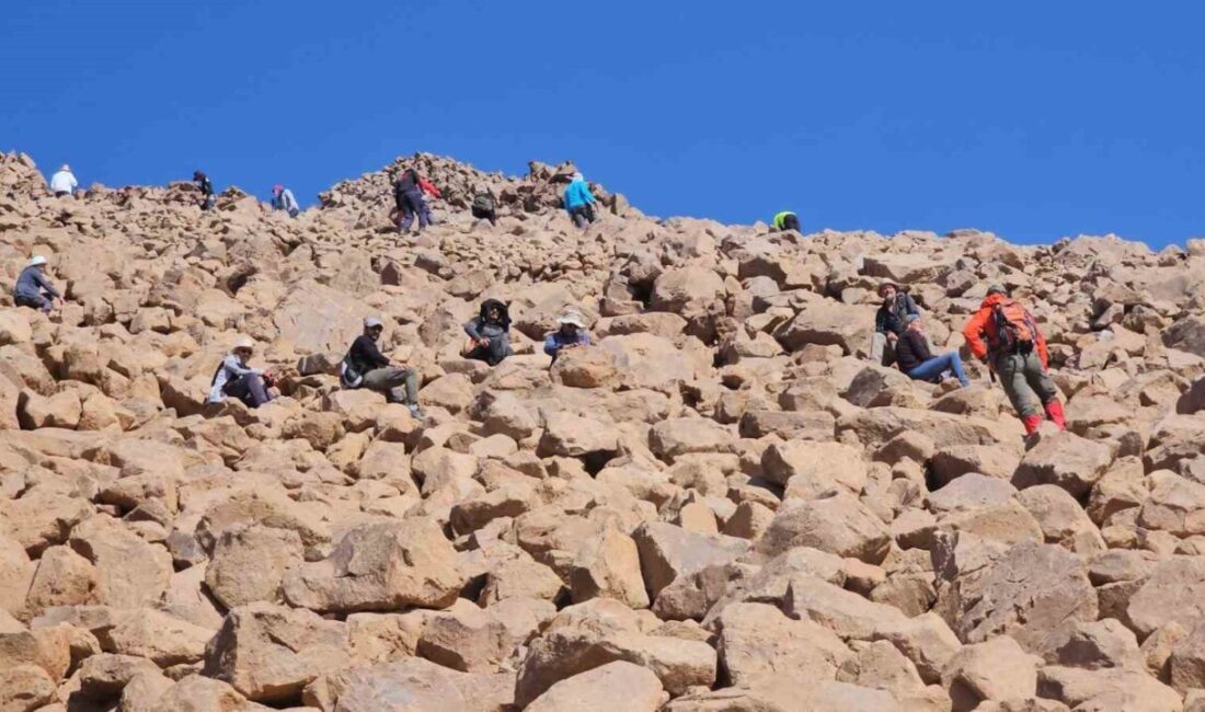 BİTLİS (İHA) – Van Gölü Aktivistleri Derneği üyeleri, profesyonel dağcı