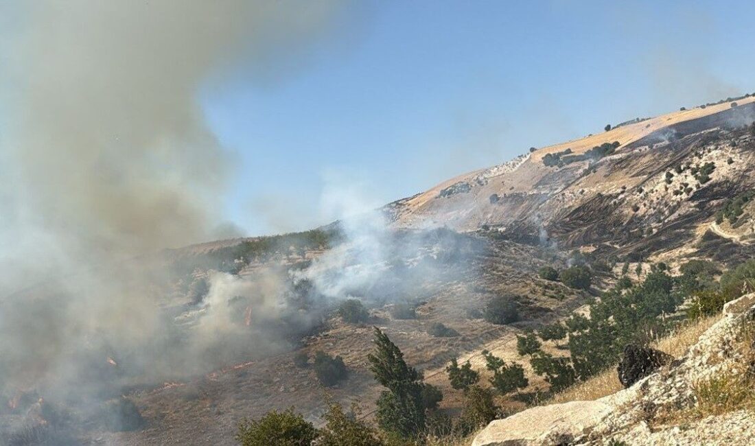 Adıyaman’ın Besni ilçesinde dağlık alanda çıkarak korkuya neden olan yangın,