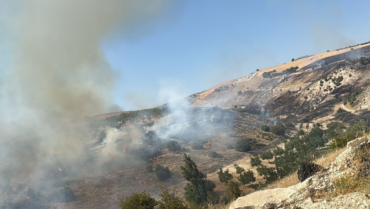 Adıyaman’ın Besni ilçesinde dağlık alanda çıkarak korkuya neden olan yangın,