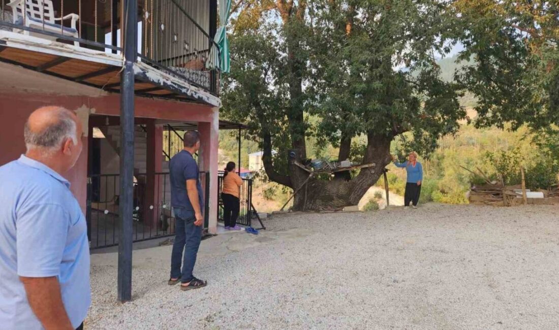 Osmaniye’nin Sumbas ilçesine bağlı Gafarlı köyünde, saçaklanmış dallarında “Allah” lafzı