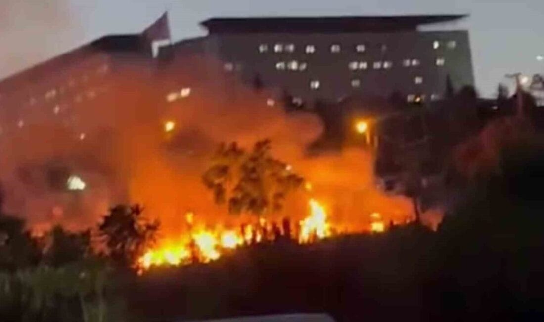 Kocaeli’nin Darıca ilçesinde bulunan millet bahçesinde çıkan yangın, itfaiye ekipleri