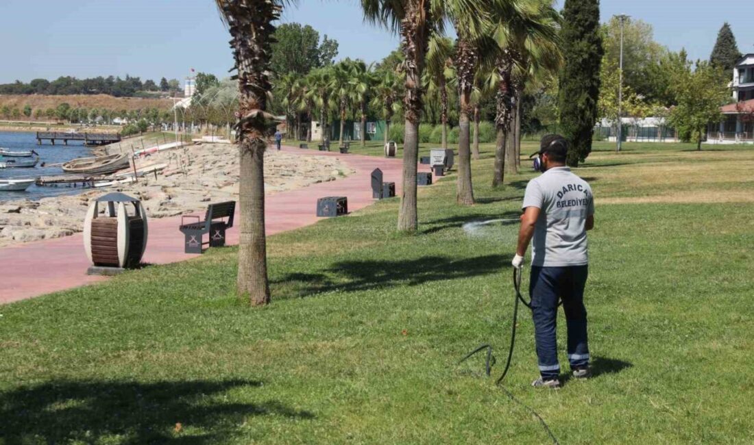 Darıca Belediyesi, sıcak havaların etkisiyle artış gösteren sinek ve haşere