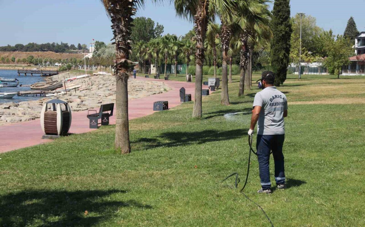 Darıca Belediyesi, sıcak havaların etkisiyle artış gösteren sinek ve haşere