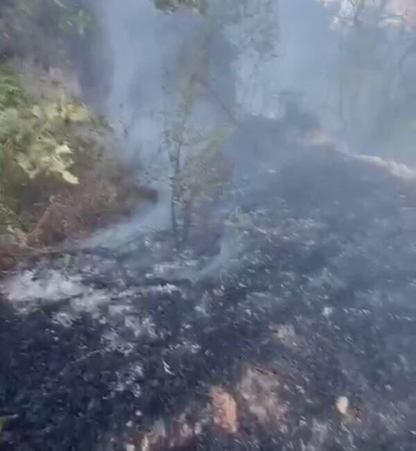 Muğla’nın Datça ilçesinde kuru otların tutuşmasıyla çıkan yangın, ekiplerin hızlı