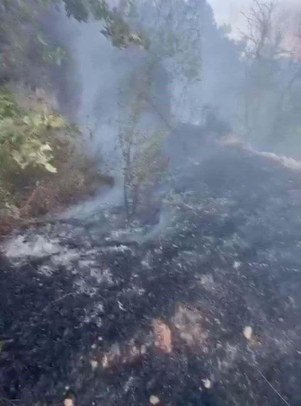 Muğla’nın Datça ilçesinde kuru otların tutuşmasıyla çıkan yangın, ekiplerin hızlı