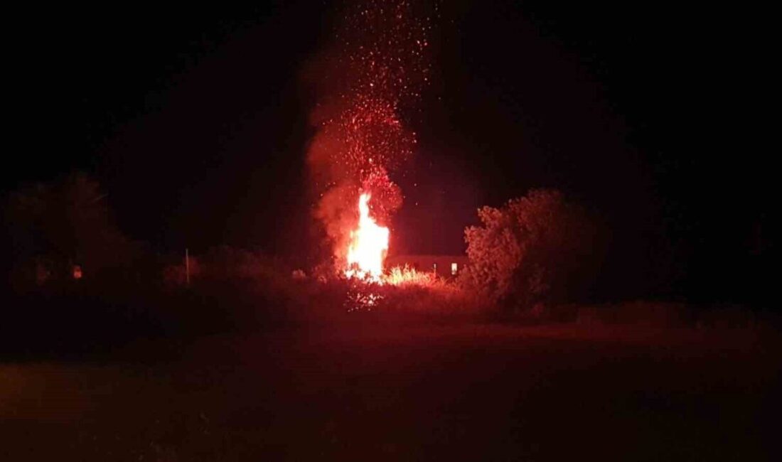 Muğla’nın Datça ilçesinde otluk alanda çıkan yangın ekiplerin hızlı müdahalesi