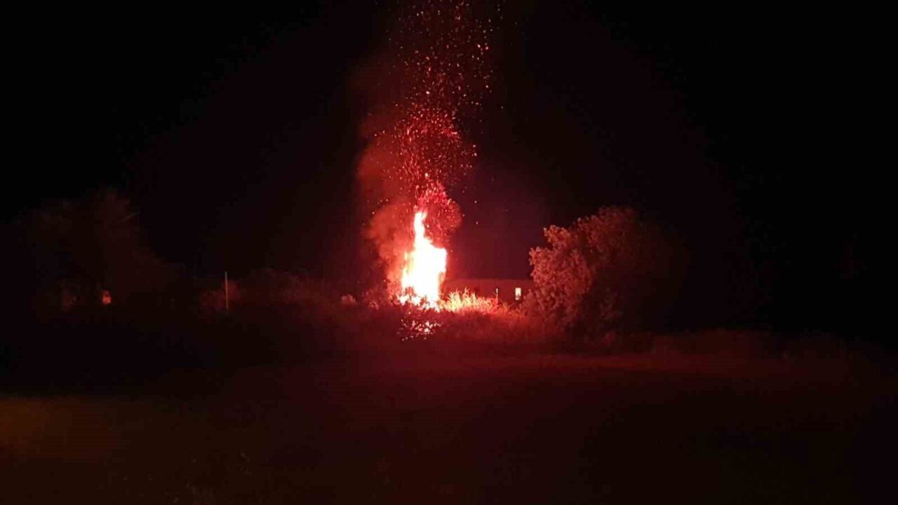 Muğla’nın Datça ilçesinde otluk alanda çıkan yangın ekiplerin hızlı müdahalesi