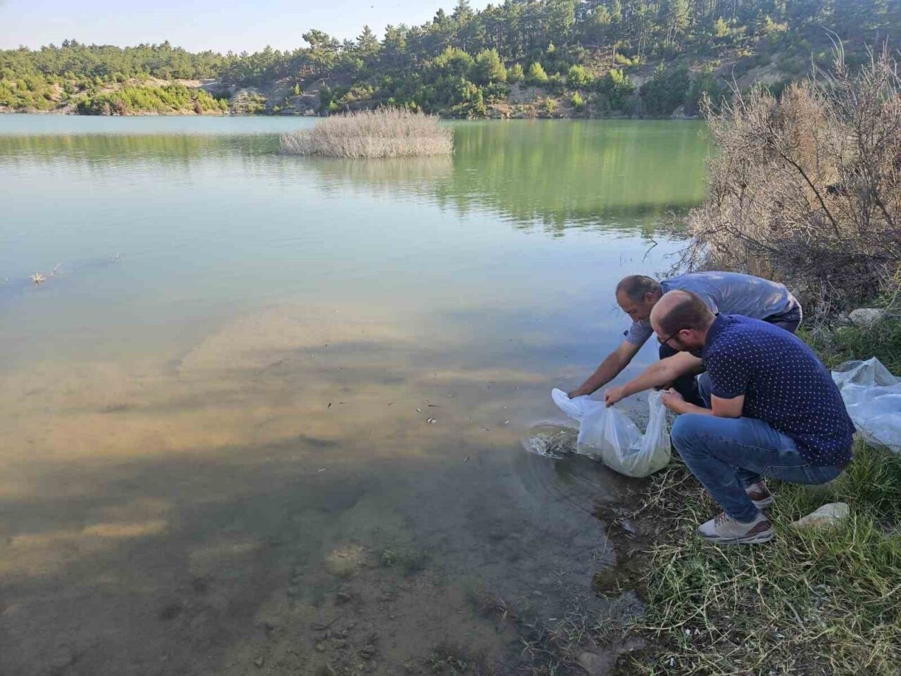 Afyonkarahisar’ın Dazkırı ilçesine bağlı Çiftlik Köyü’nde bulunan baraj göletine balıklandırma